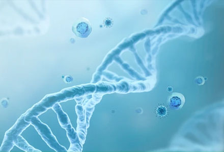 Ex Vivo Drug Efficacy Testing Services