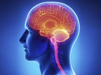 Neuroscience