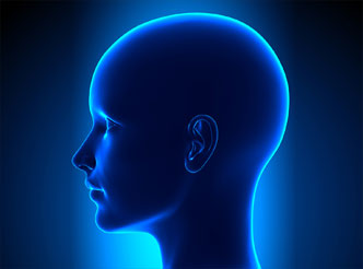 Otolaryngology, Head, and Neck Science