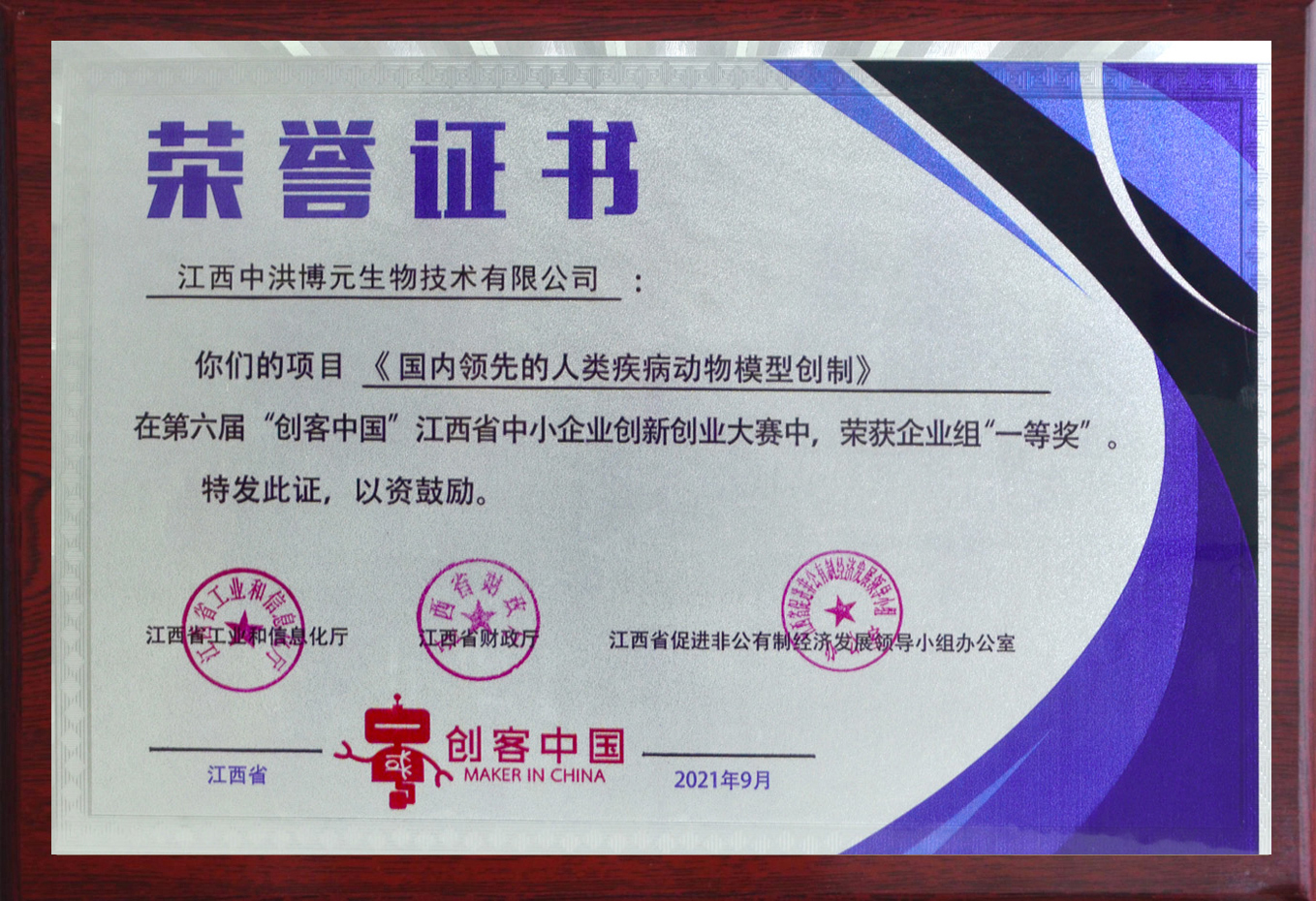 Maker China First Prize