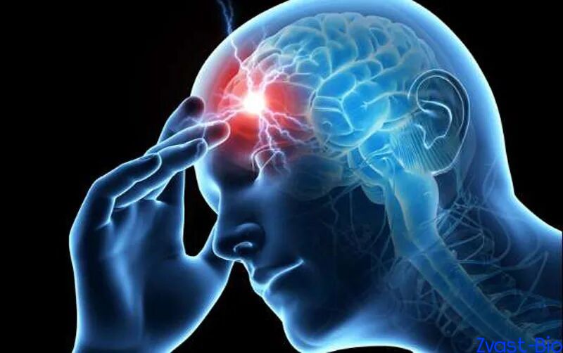 Migraine Is Not Something to Endure! Analysis of Novel Targets and Drug Research at the End of 2025