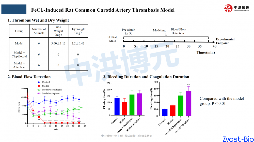 rat thrombosis model_04.png