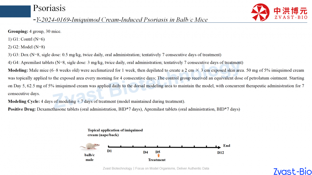psoriasis model in autoimmune skin disease data summary-2025_16.png