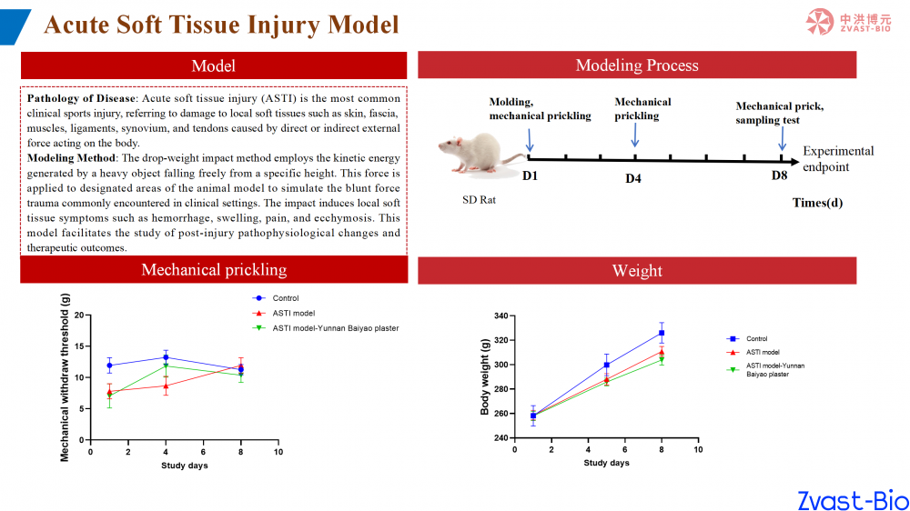 acute soft tissue injury model_01.png