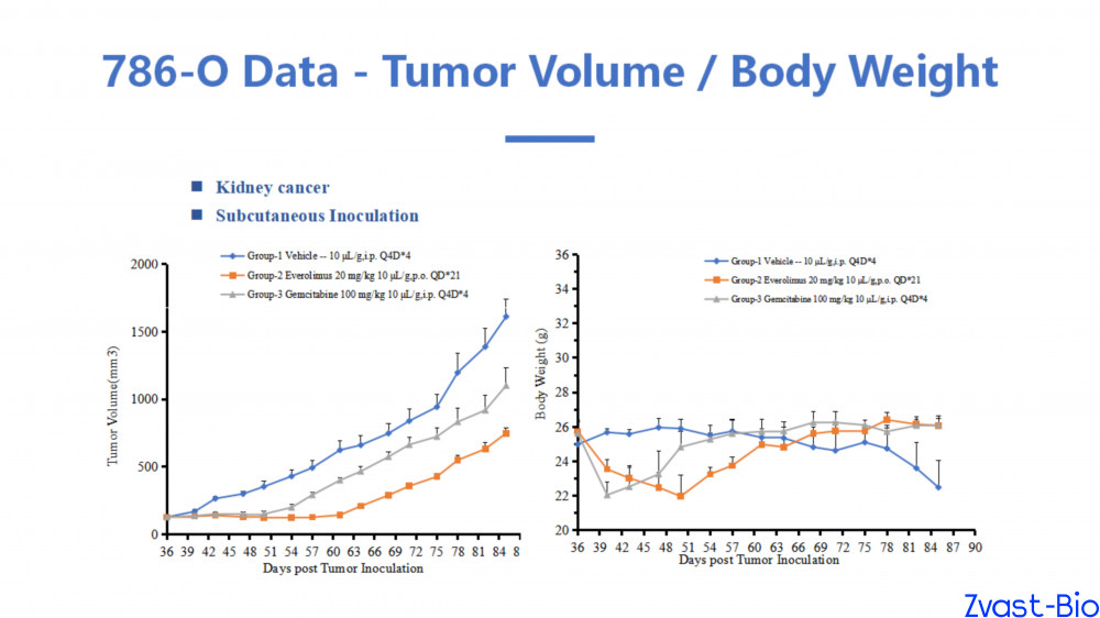786-o_01.png