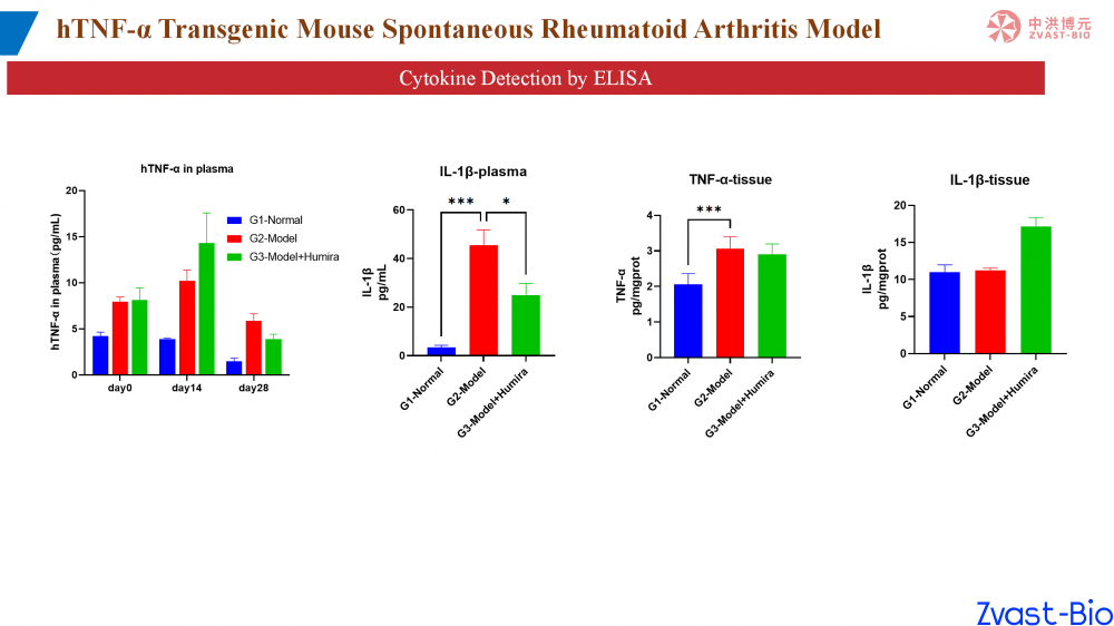 htnf-α transgenic mouse spontaneous rheumatoid arthritis model_02.png