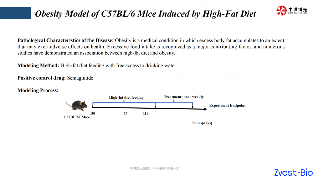 obesity model of c57bl6 mice induced by high-fat diet  ——data 2025_02.png
