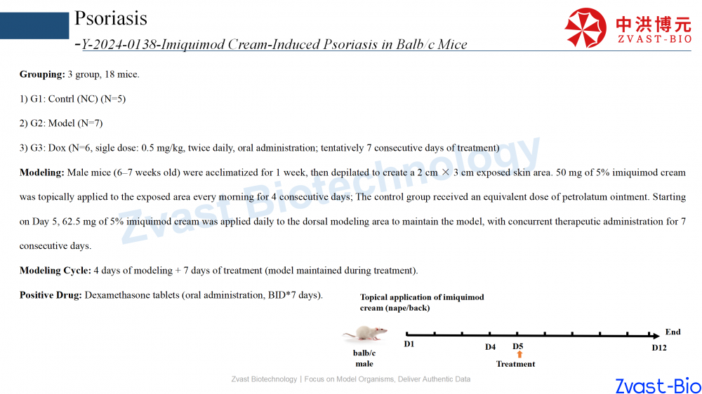 psoriasis model in autoimmune skin disease data summary-2025_12.png