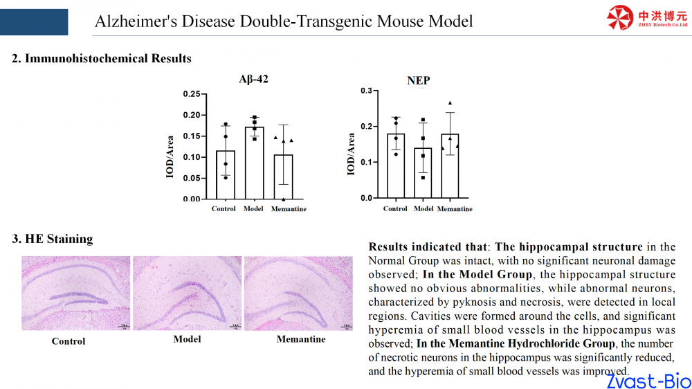 alzheimer's disease double-transgenic mouse model_03.png