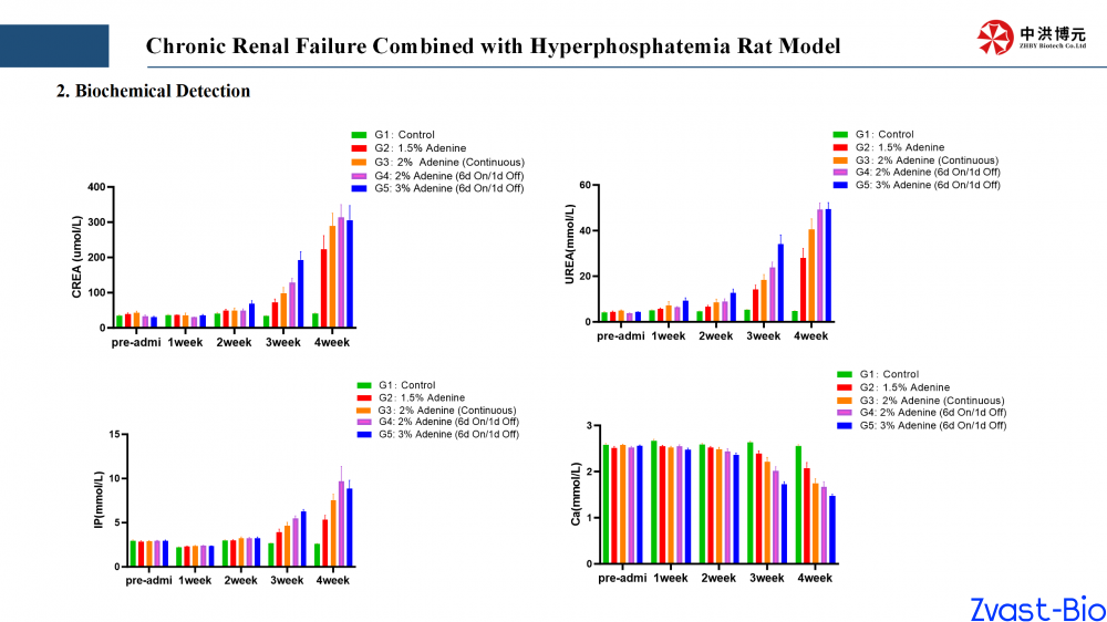 chronic renal failure combined with hyperphosphatemia rat model_03.png