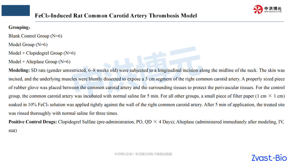rat thrombosis model_03.png