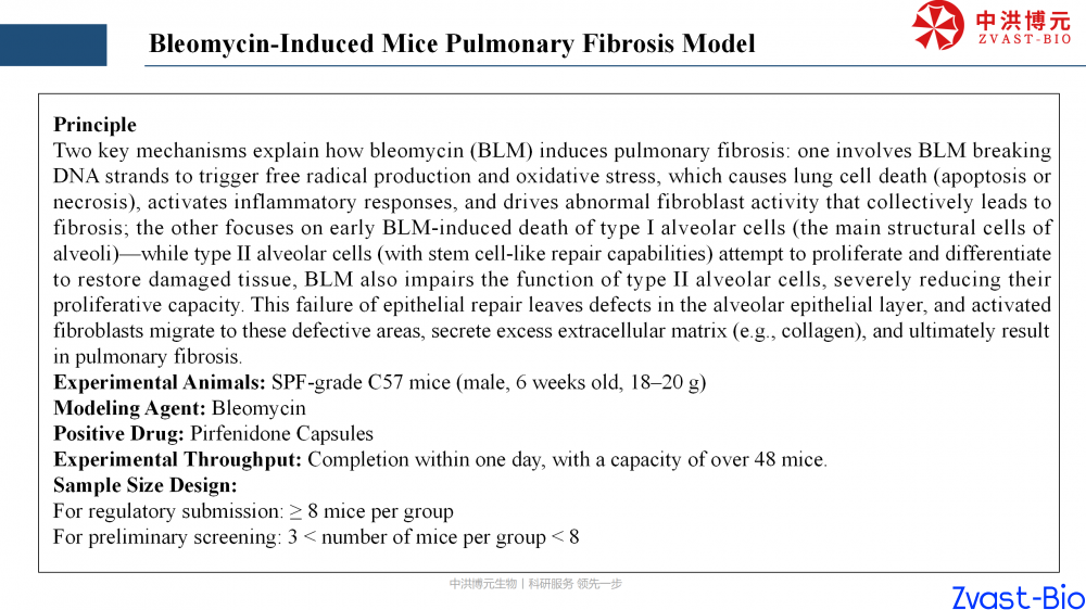 bleomycin-induced mice pulmonary fibrosis model_01.png