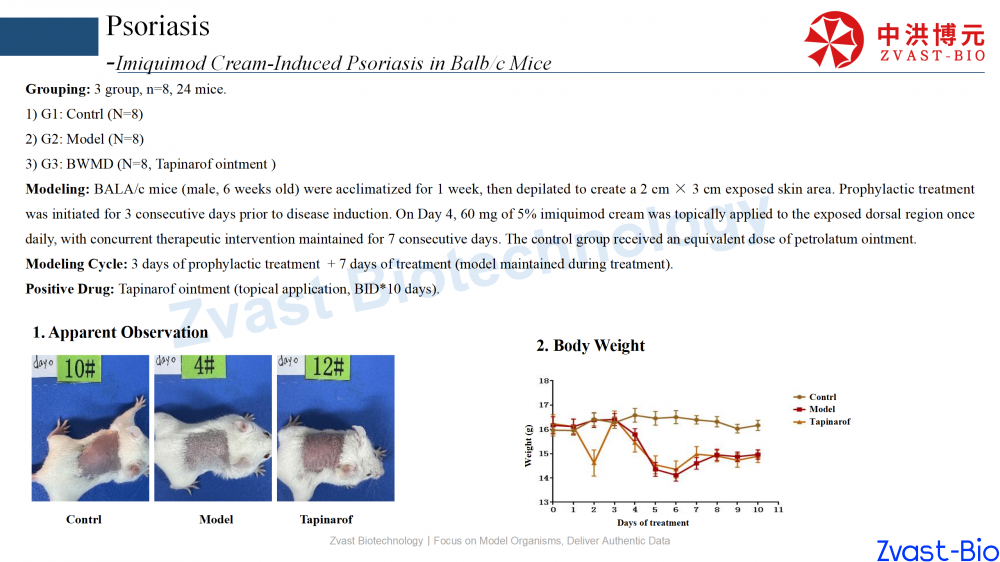 psoriasis model in autoimmune skin disease data summary-2025_07.png