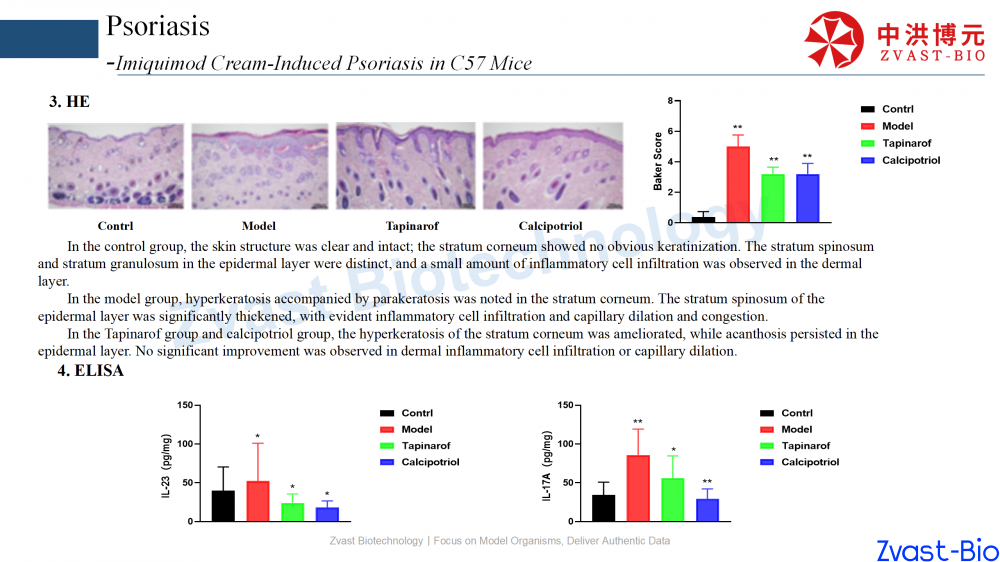 psoriasis model in autoimmune skin disease data summary-2025_11.png