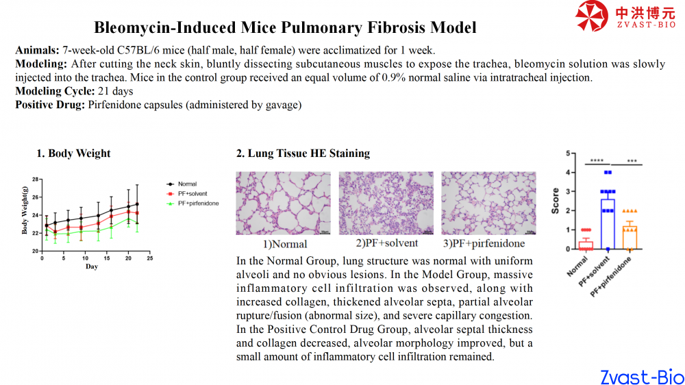 bleomycin-induced mice pulmonary fibrosis model_02.png
