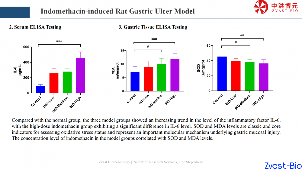 gastric ulcer model_13.png