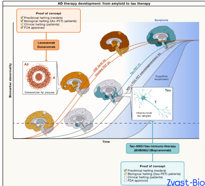 A&beta; pathway faces setbacks, Tau-targeted therapies rise! Gene therapy for Alzheimer disease takes the lead in tackling hard-to-treat populations