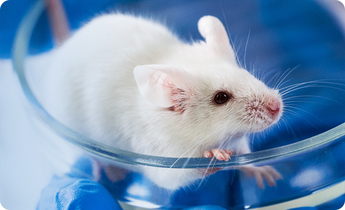 Breaking through treatment bottlenecks! A new journey begins in the development of innovative therapy for Gaucher disease